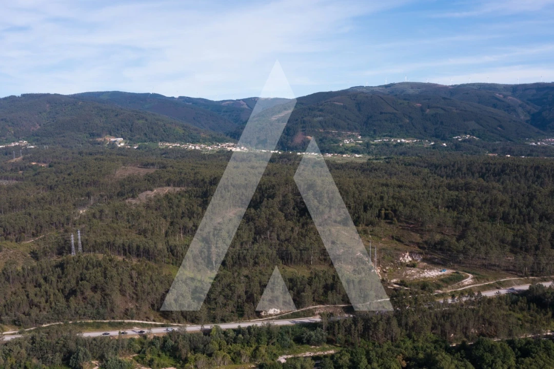 Terreno para Venda em Miranda do Corvo Foto 7