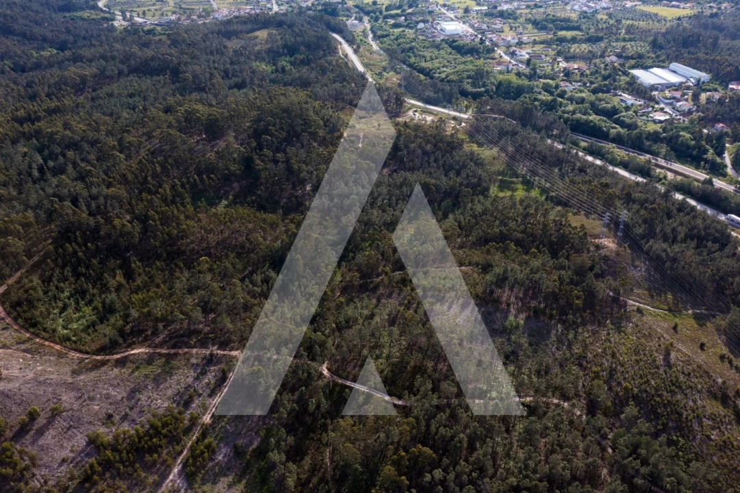 Terreno para Venda em Miranda do Corvo Foto 9