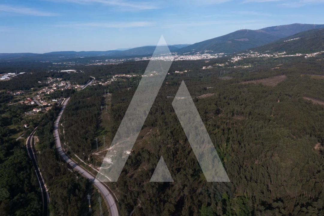 Terreno para Venda em Miranda do Corvo Foto 13