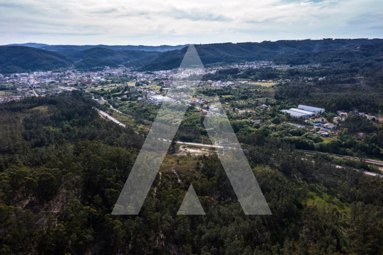 Terreno para Venda em Miranda do Corvo Foto 1