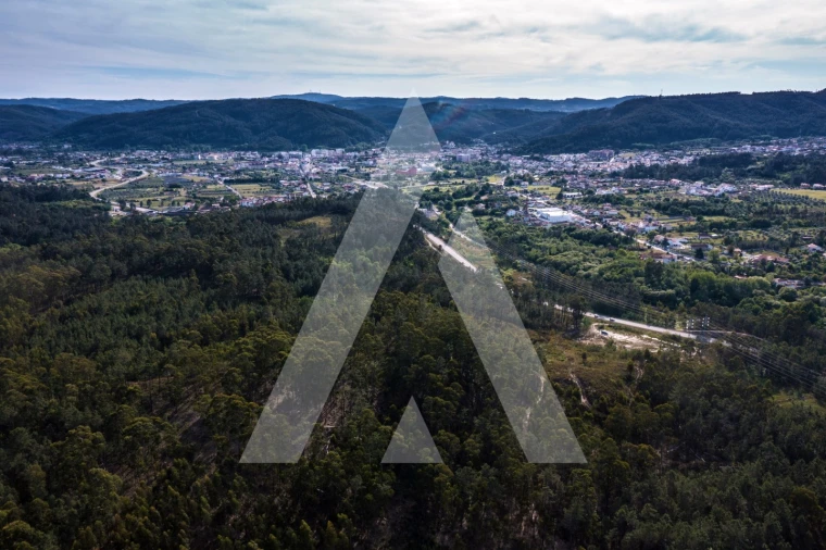 Terreno para Venda em Miranda do Corvo Foto 2