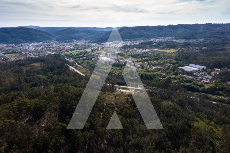 Terreno para Venda em Miranda do Corvo Foto 3