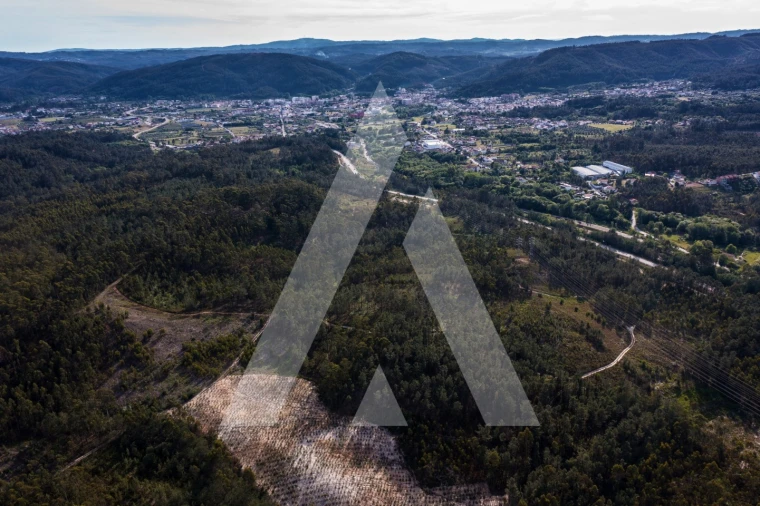 Terreno para Venda em Miranda do Corvo Foto 4