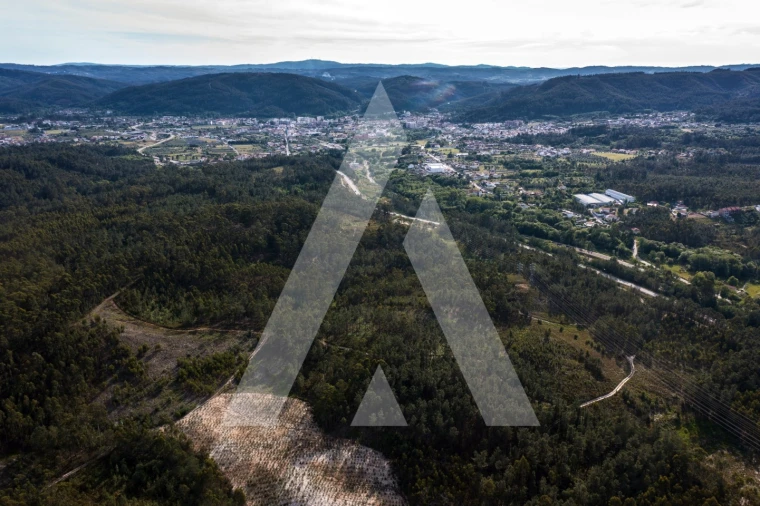 Terreno para Venda em Miranda do Corvo Foto 8