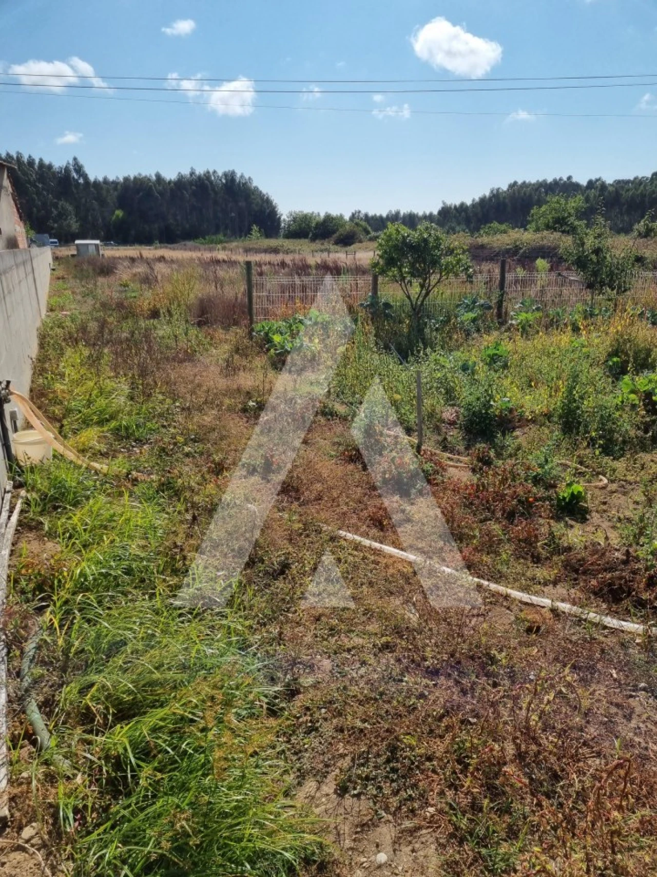 Terreno para Venda em Ílhavo (São Salvador) Foto 4