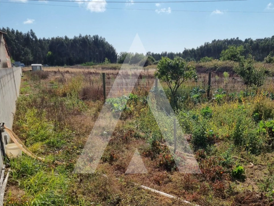 Terreno para Venda em Ílhavo (São Salvador) Foto 3