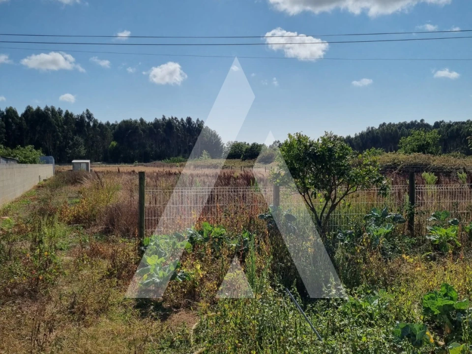 Terreno para Venda em Ílhavo (São Salvador) Foto 5