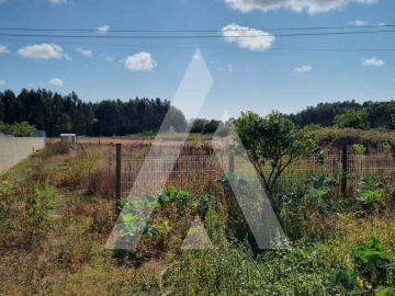 Terreno para Venda em Ílhavo (São Salvador)