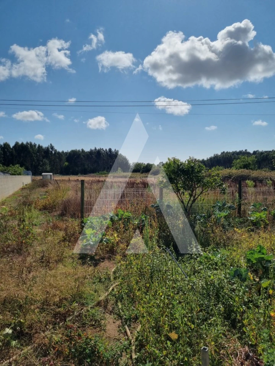 Terreno para Venda em Ílhavo (São Salvador) Foto 2