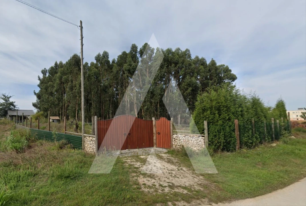Terreno para Venda em Aradas Foto 1