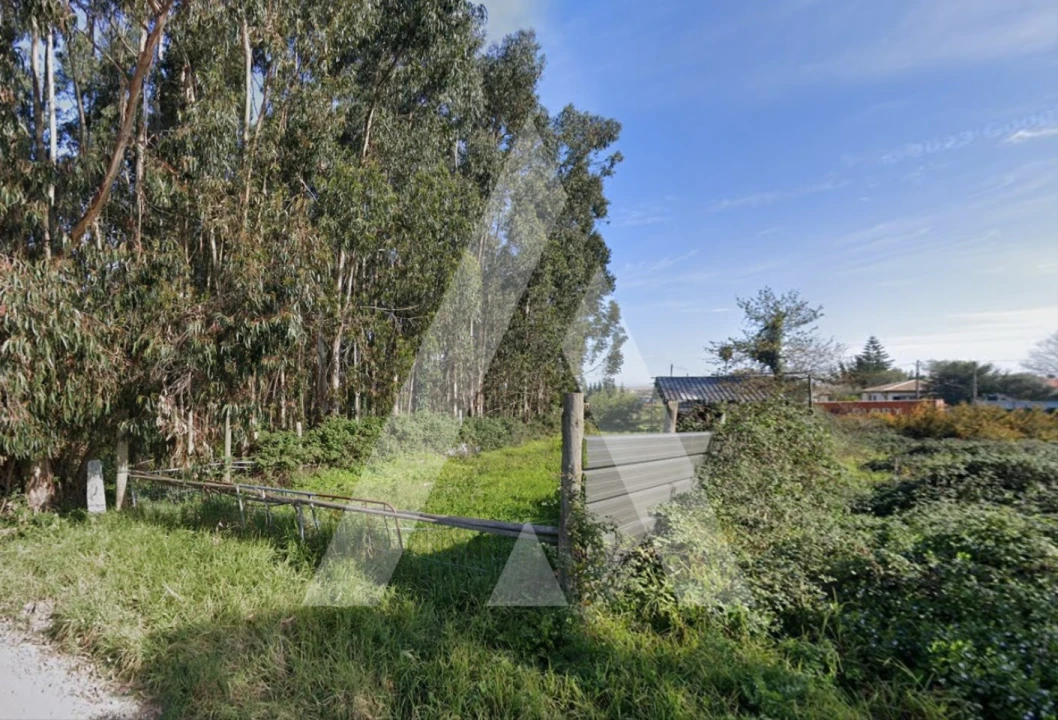 Terreno para Venda em Aradas Foto 6