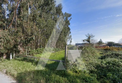 Terreno para Venda em Aradas