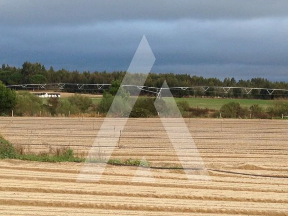 Terreno para Venda em Pegões Foto 1
