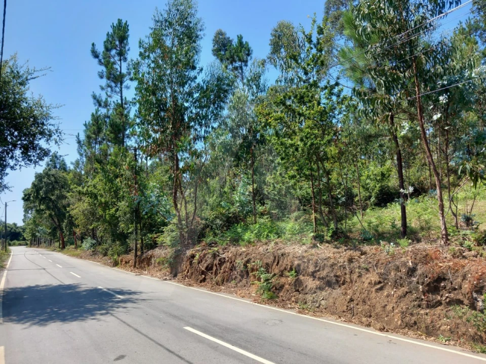 Terreno para Venda em Argoncilhe Foto 1