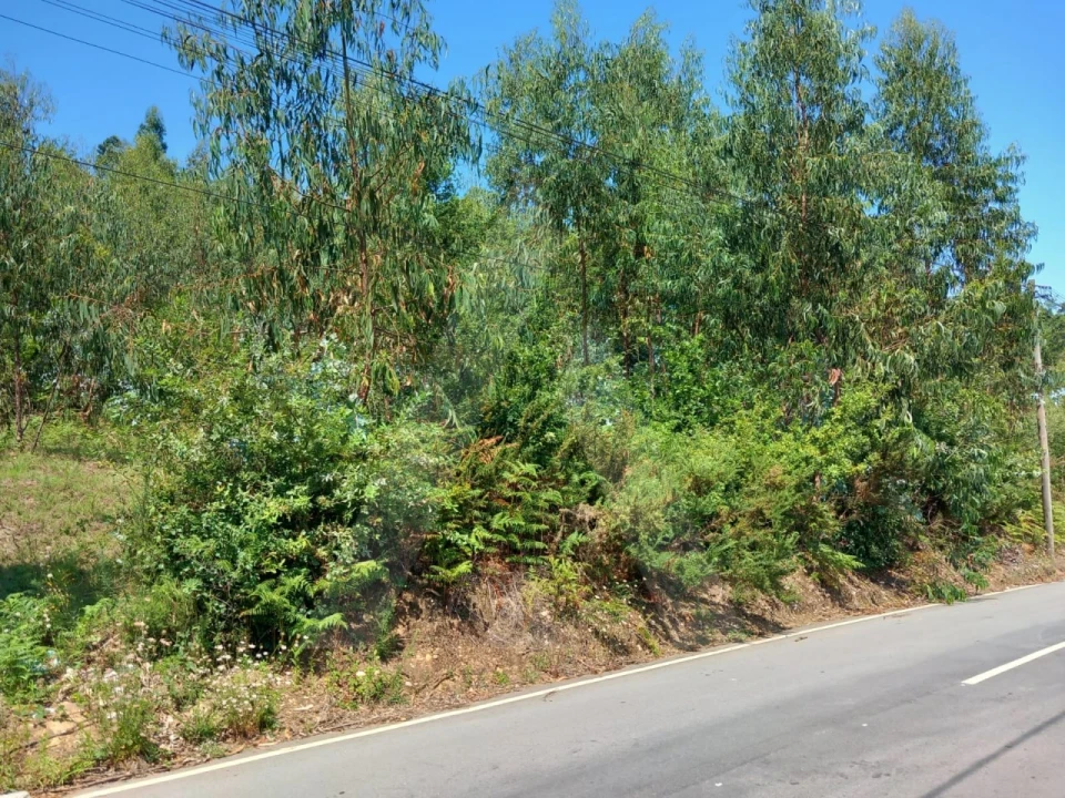 Terreno para Venda em Argoncilhe Foto 4