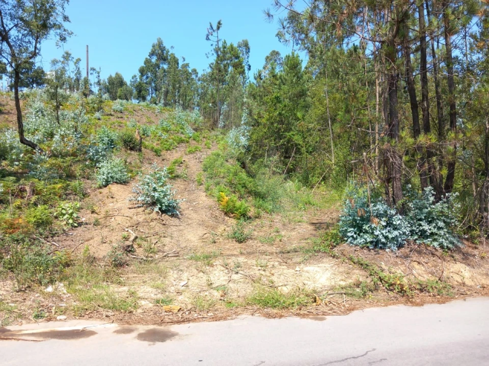 Terreno para Venda em Argoncilhe Foto 8