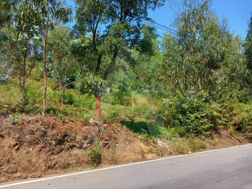 Terreno para Venda em Argoncilhe Foto 10