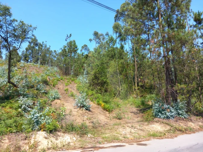 Terreno para Venda em Argoncilhe Foto 7