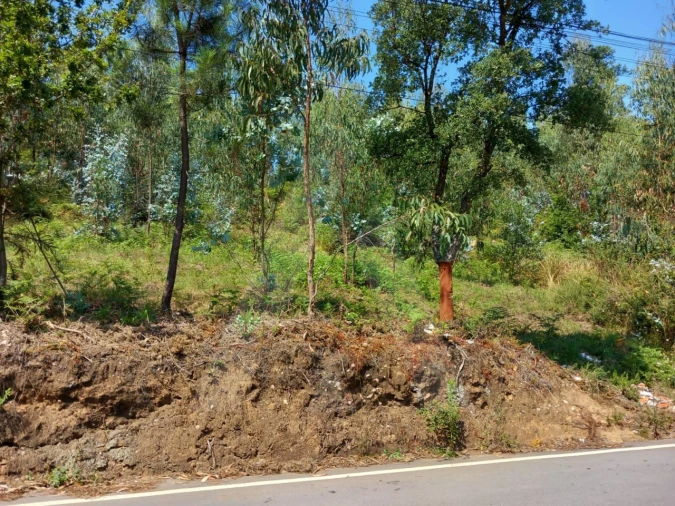Terreno para Venda em Argoncilhe Foto 9