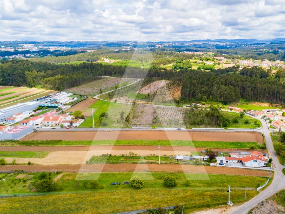 Terreno para Venda em Ovar, São João, Arada e São Vicente de Pereira Jusã Foto 19