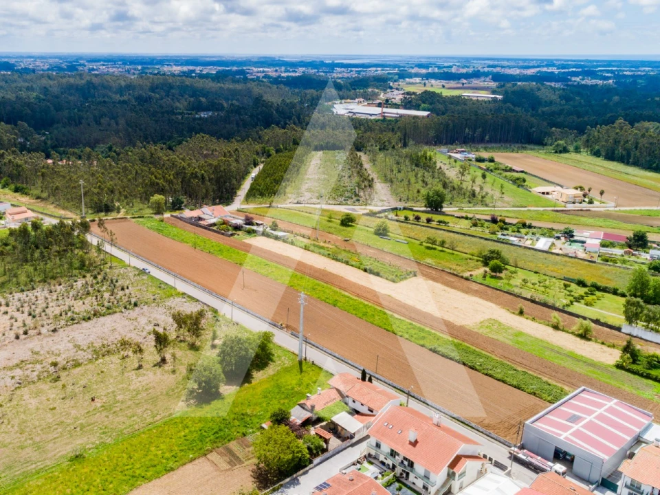 Terreno para Venda em Ovar, São João, Arada e São Vicente de Pereira Jusã Foto 24