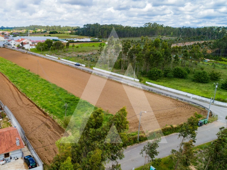 Terreno para Venda em Ovar, São João, Arada e São Vicente de Pereira Jusã Foto 6