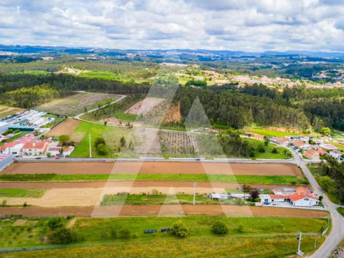 Terreno para Venda em Ovar, São João, Arada e São Vicente de Pereira Jusã Foto 20