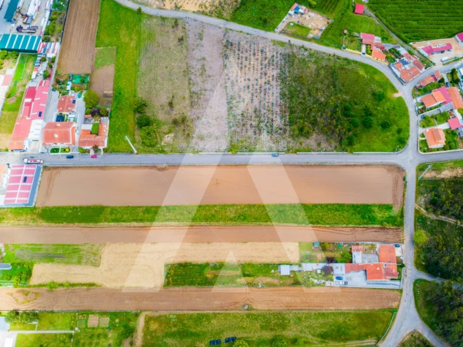 Terreno para Venda em Ovar, São João, Arada e São Vicente de Pereira Jusã Foto 21