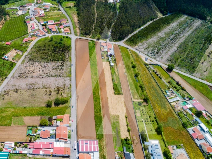 Terreno para Venda em Ovar, São João, Arada e São Vicente de Pereira Jusã Foto 25