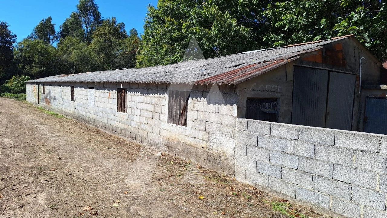 Terreno para Venda em Bordonhos Foto 8