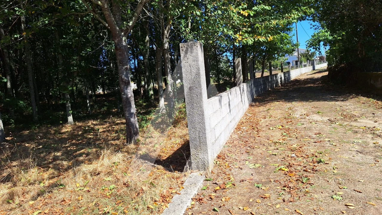 Terreno para Venda em Bordonhos Foto 6