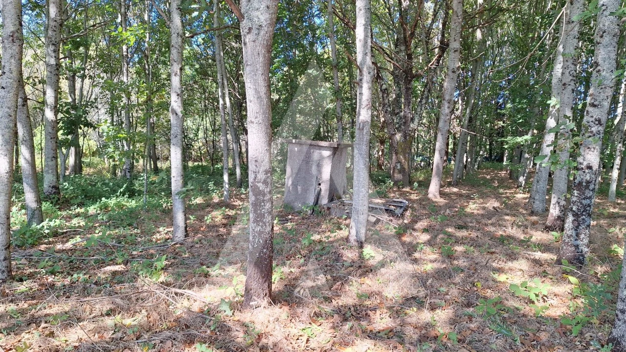 Terreno para Venda em Bordonhos Foto 10