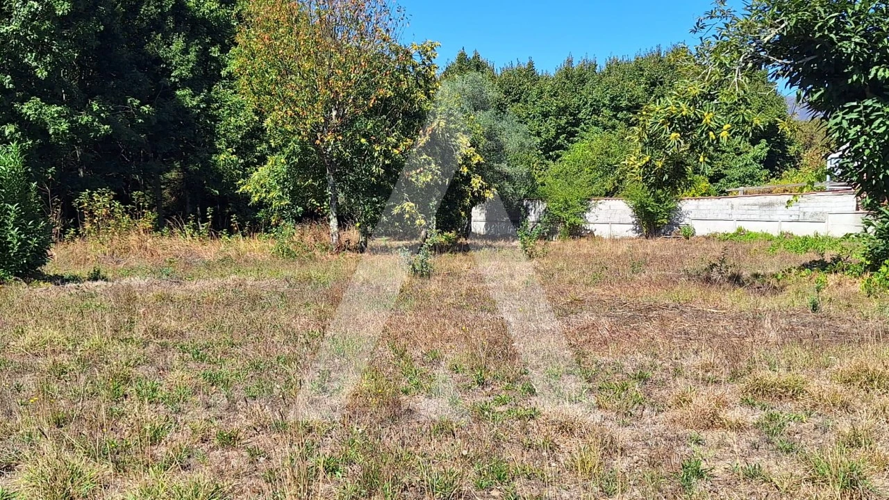 Terreno para Venda em Bordonhos Foto 13