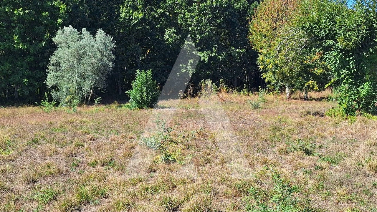 Terreno para Venda em Bordonhos Foto 14