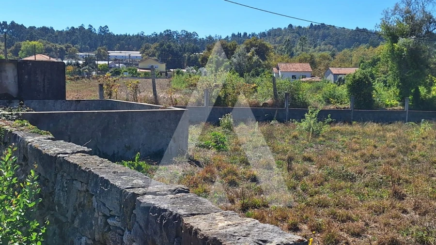 Terreno para Venda em Bordonhos Foto 3