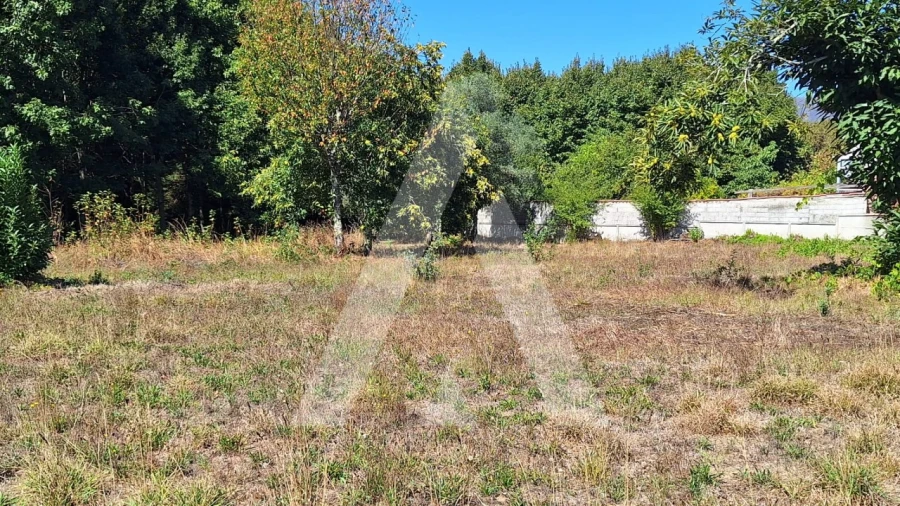 Terreno para Venda em Bordonhos Foto 13