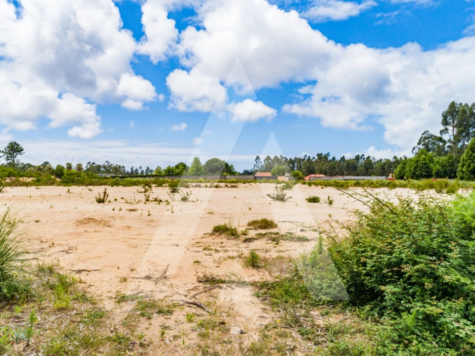 Terreno para Venda em Ovar, São João, Arada e São Vicente de Pereira Jusã Foto 8