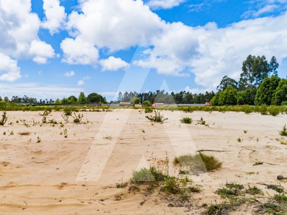 Terreno para Venda em Ovar, São João, Arada e São Vicente de Pereira Jusã Foto 9