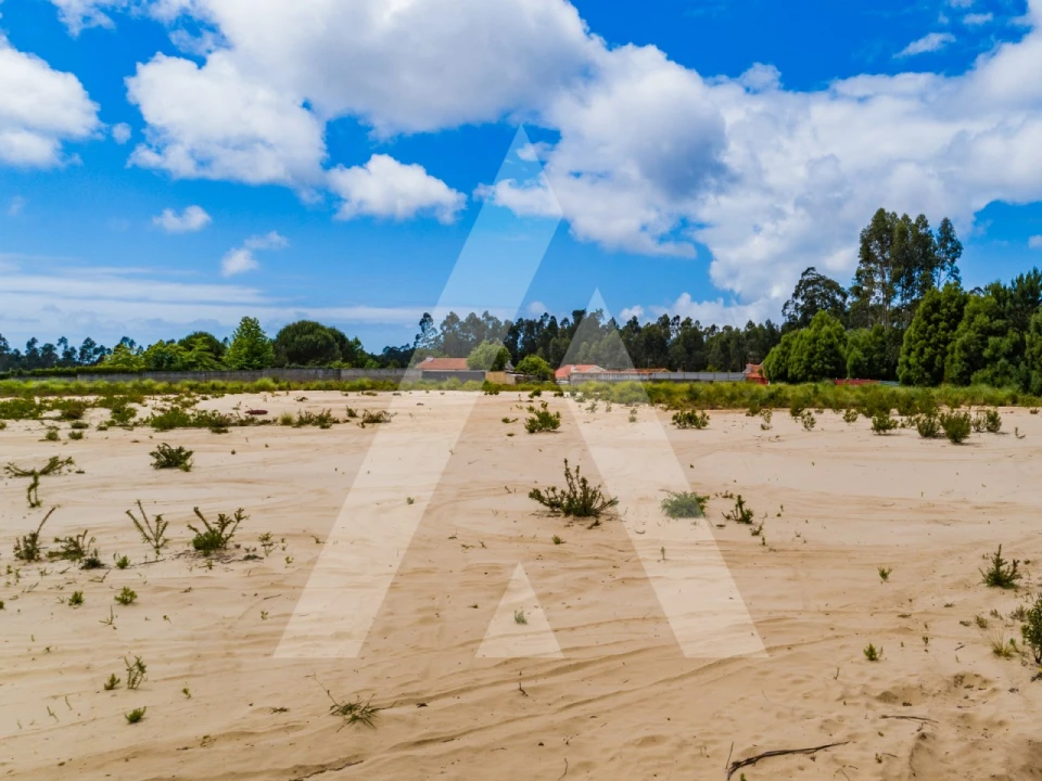 Terreno para Venda em Ovar, São João, Arada e São Vicente de Pereira Jusã Foto 10