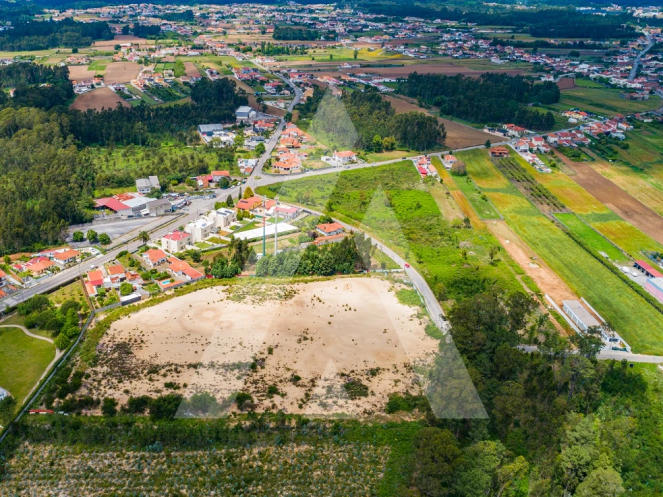 Terreno para Venda em Ovar, São João, Arada e São Vicente de Pereira Jusã Foto 14