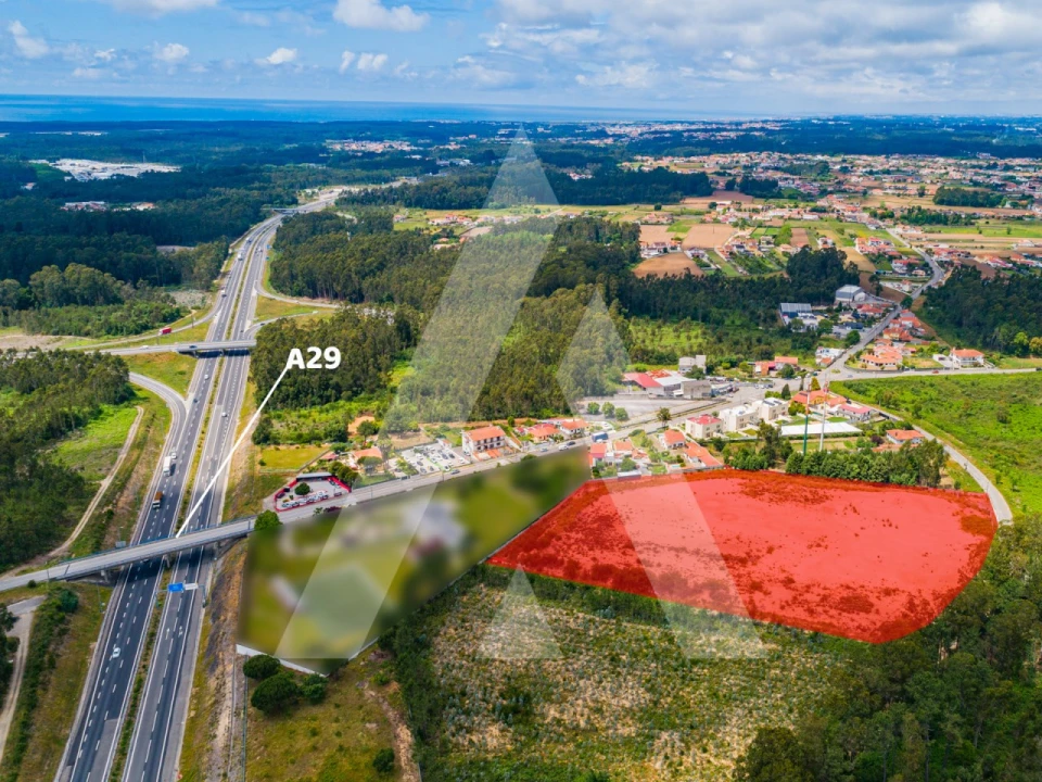 Terreno para Venda em Ovar, São João, Arada e São Vicente de Pereira Jusã Foto 18