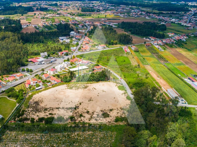 Terreno para Venda em Ovar, São João, Arada e São Vicente de Pereira Jusã Foto 14