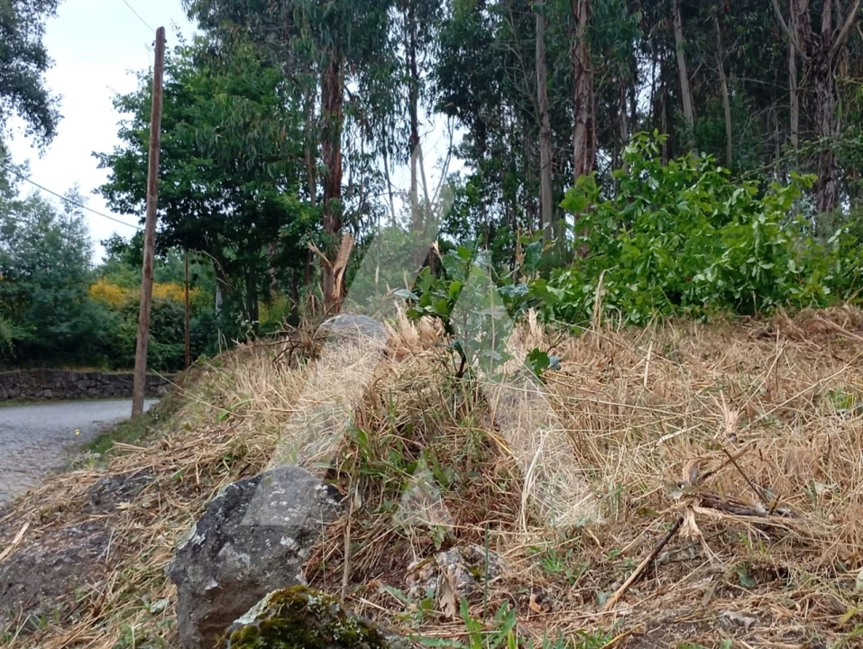 Terreno para Venda em Guilhufe e Urrô Foto 3