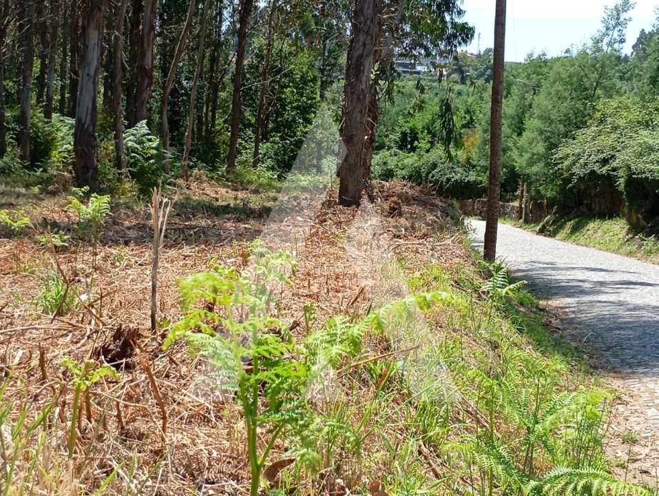 Terreno para Venda em Guilhufe e Urrô Foto 5