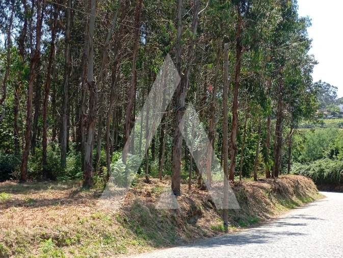 Terreno para Venda em Guilhufe e Urrô Foto 1