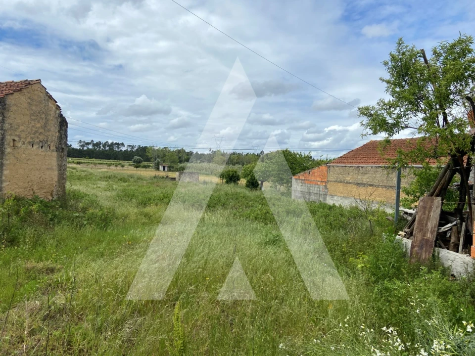 Terreno para Venda em São Lourenço do Bairro Foto 2