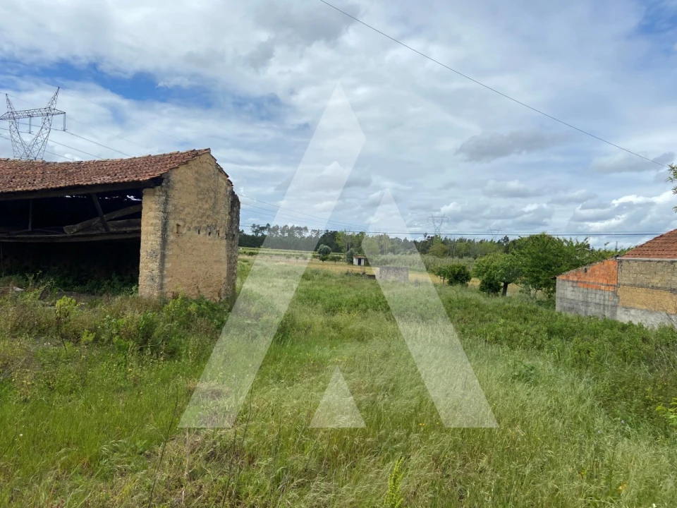 Terreno para Venda em São Lourenço do Bairro Foto 3
