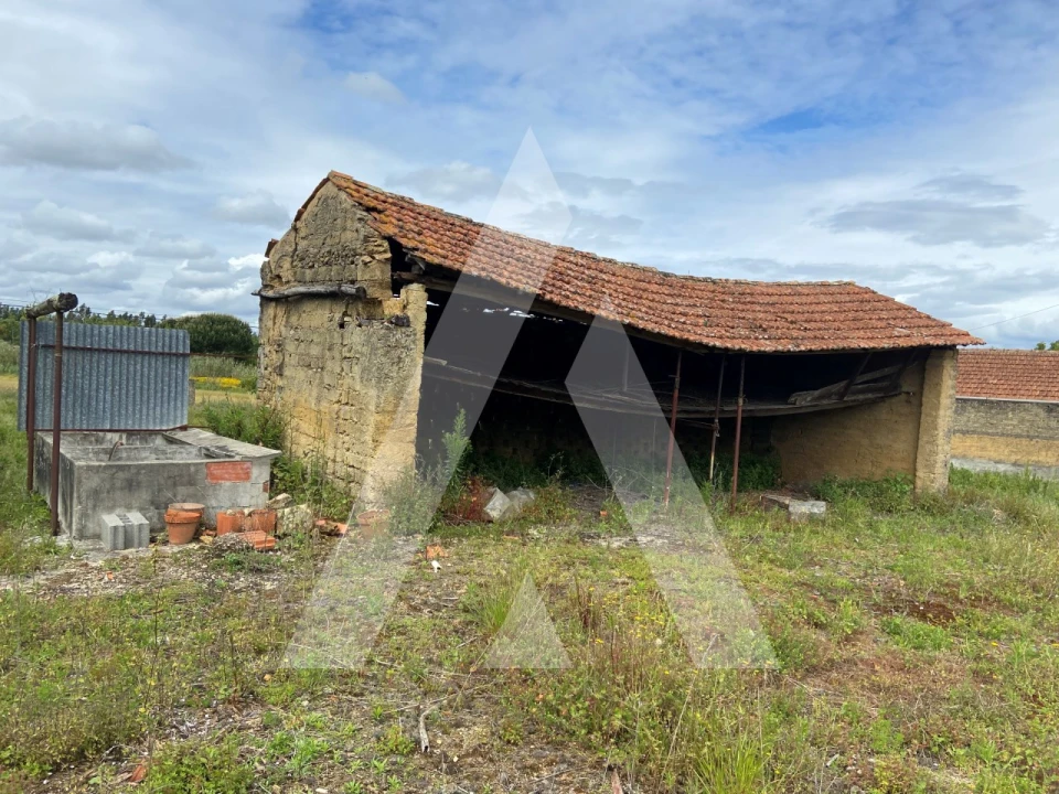 Terreno para Venda em São Lourenço do Bairro Foto 4
