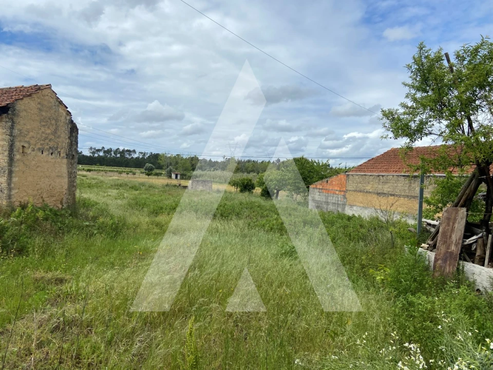Terreno para Venda em São Lourenço do Bairro Foto 1