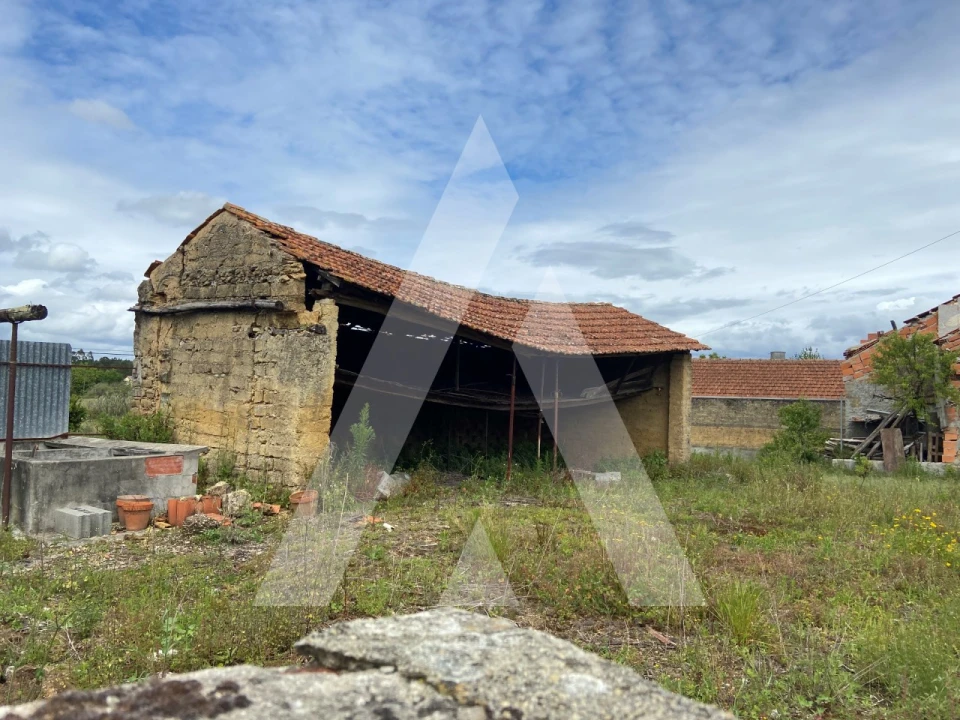 Terreno para Venda em São Lourenço do Bairro Foto 7